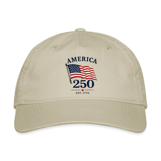 America 250 Flag Hat - khaki
