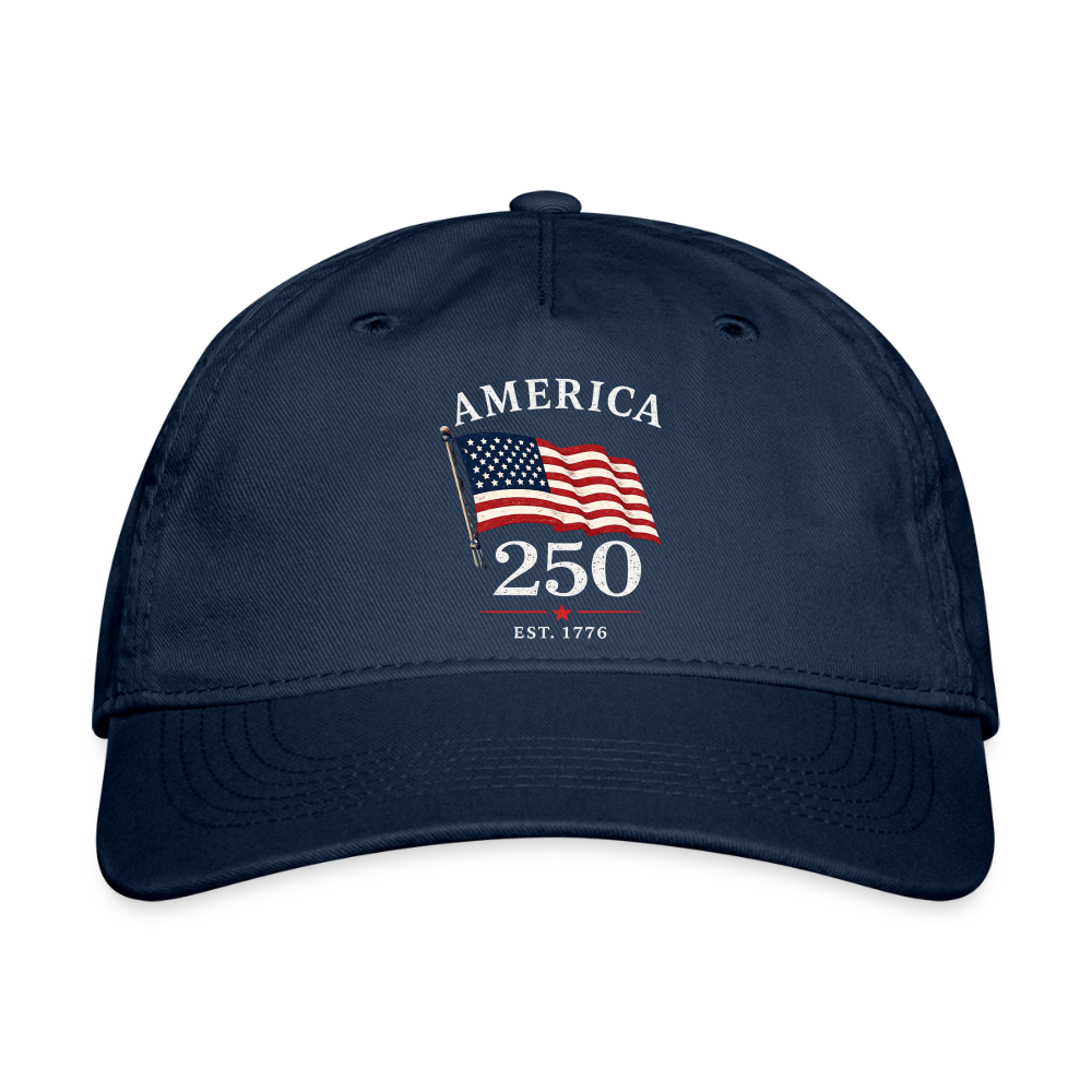 America 250 Flag Hat - navy