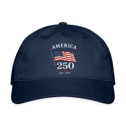 America 250 Flag Hat - navy